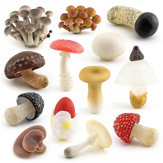 1Pcs Mushroom Toy